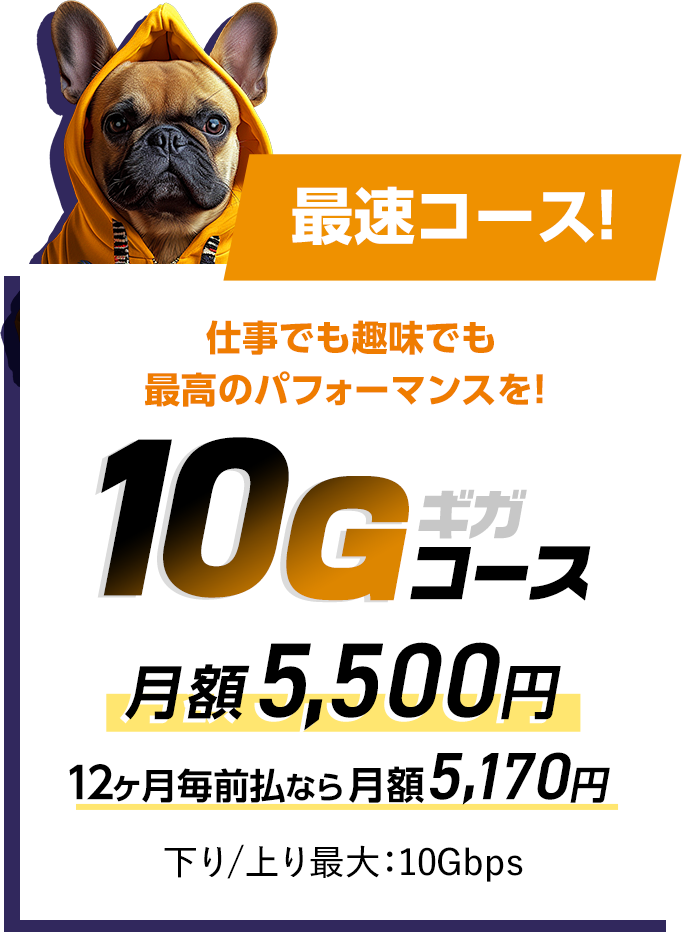 最速コース！仕事でも趣味でも最高のパフォーマンスを！　10ギガコース 月額5,500円　12か月毎前払いなら月額5,170円　下り上り最大10Gbps