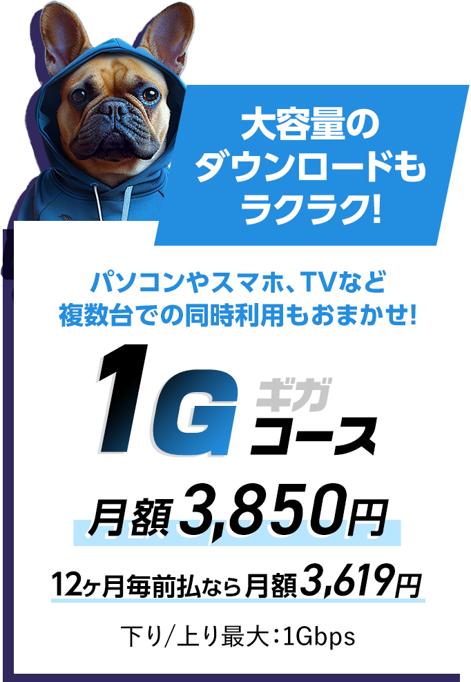 大容量のダウンロードもラクラク！パソコンやスマホ、TVなど複数台での同時利用もおまかせ！1ギガコース 月額3,850円12ヵ月毎前払いなら月額3,619円下り上り最大1Gbps