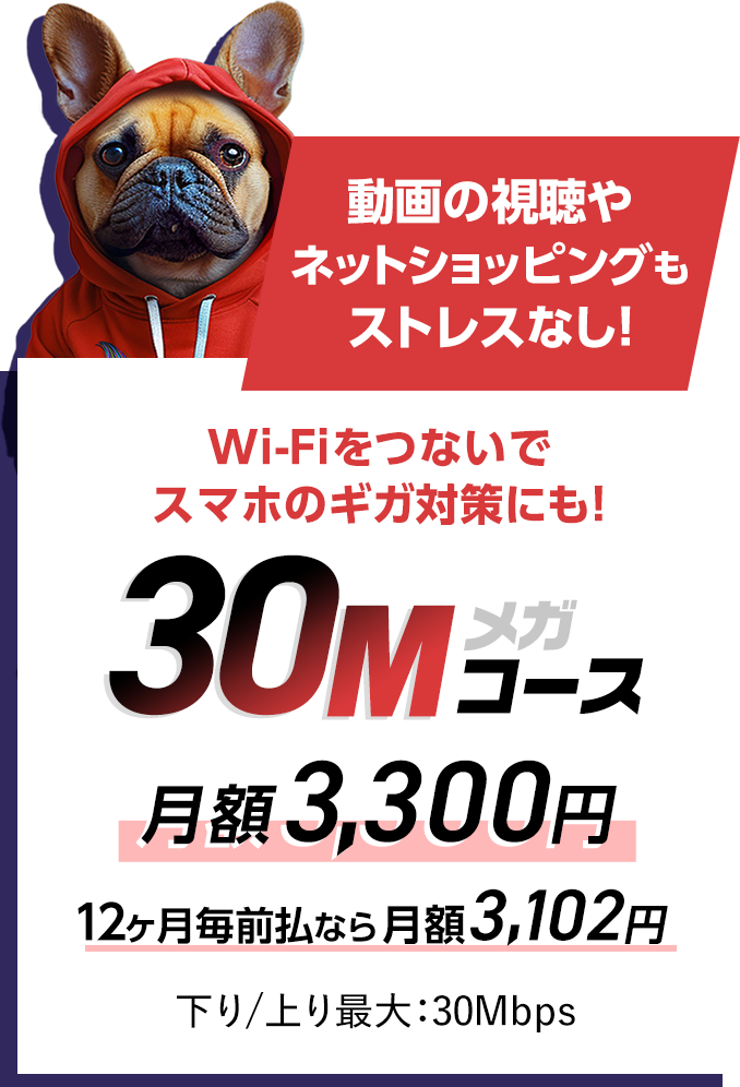 動画の視聴やネットショッピングもストレスなし！wifiをつないでスマホのギガ対策にも！30メガコース 月額3,300円　12月毎前払いなら月額3,102円下り上り最大30Mbps